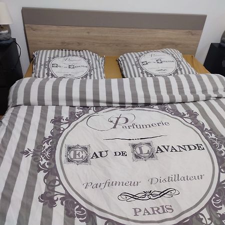 Grand Appartement Chaleureux Mirebeau-sur-Beze Luaran gambar